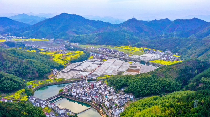 学深悟透八八战略,时政评论八八战略