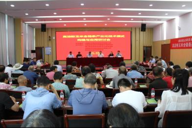 国家重点研发计划专项课题在郸城召开研讨会高淀粉玉米全链条产业化技术示范初见成效