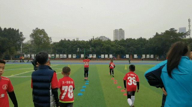 双减之下学校教育如何提质增效,双减政策下小学如何提升教学质量