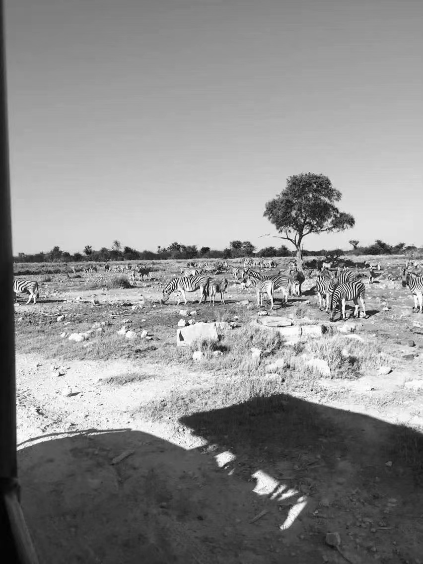 “外派非洲年薪20万”被热议，外派员工讲述：基本不用花钱，不知不觉就有存款，但国内对非洲误解多，招聘困难