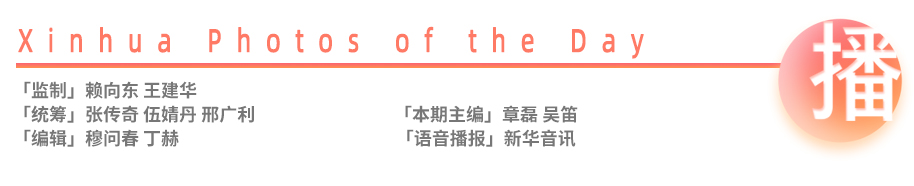 新华每日播报|8月9日