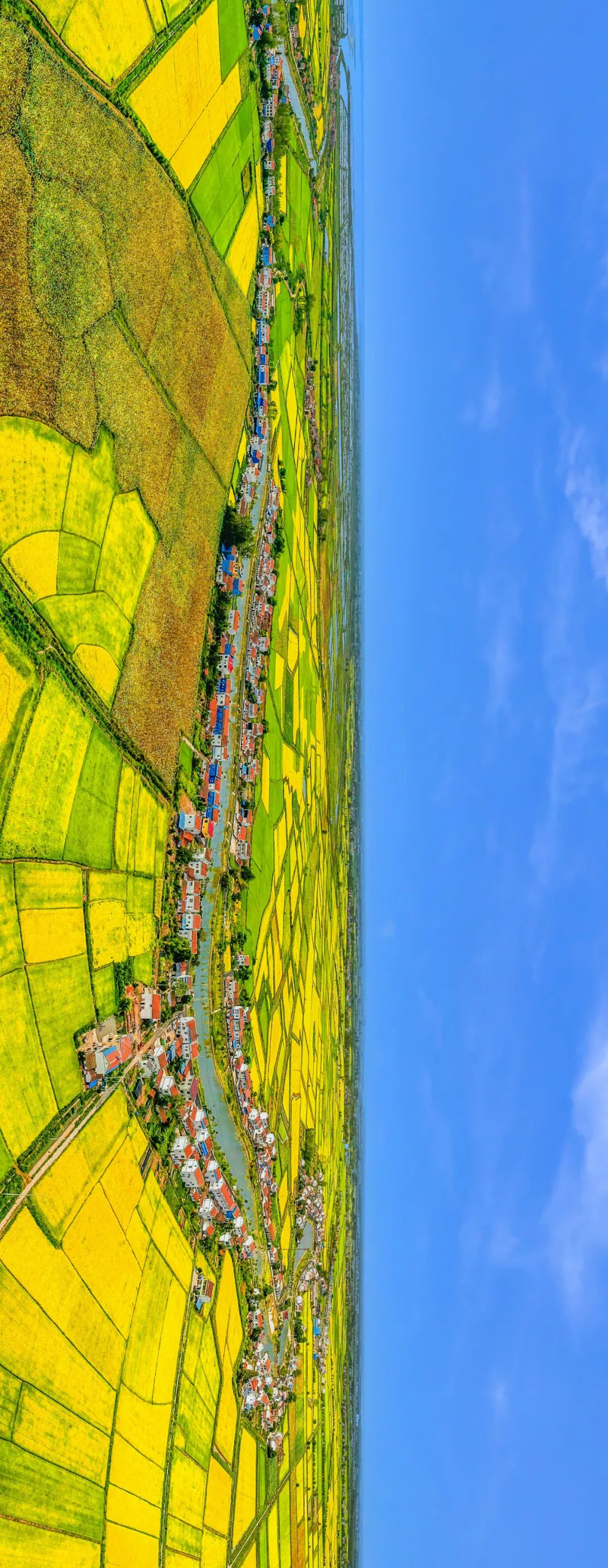 武汉江夏在水一方小区,在水一方属于哪个社区