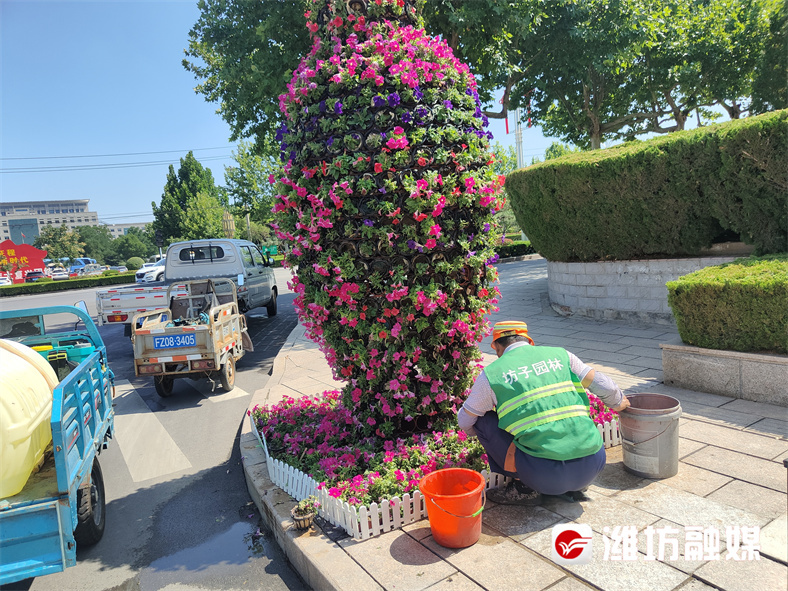 潍坊城市发展成就,潍坊市打造四个标杆城市