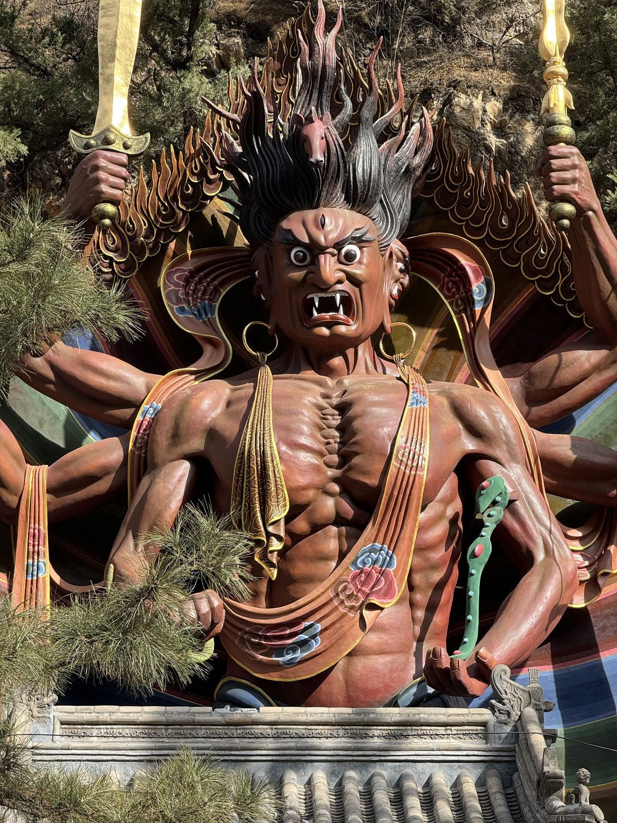 来看一下苹果15promax拍摄,苹果15promax拍摄最清晰参数