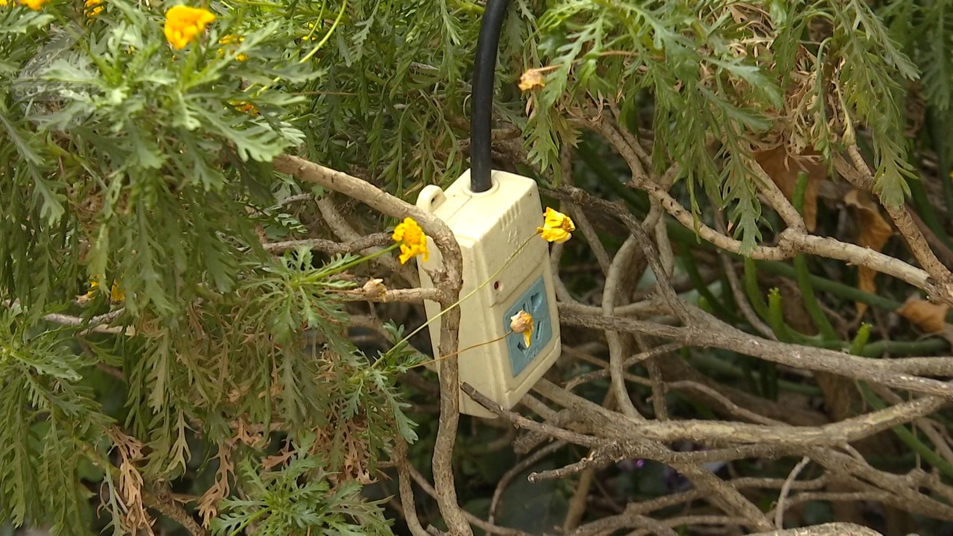 金山某小区电动车充电引发火灾,住户带电动车电瓶回家充电爆炸