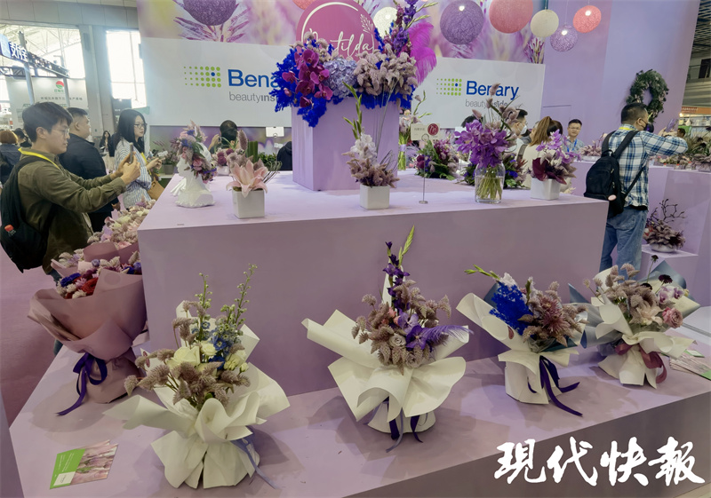 南京迎来最美银杏季,南京最美樱花季即将到来