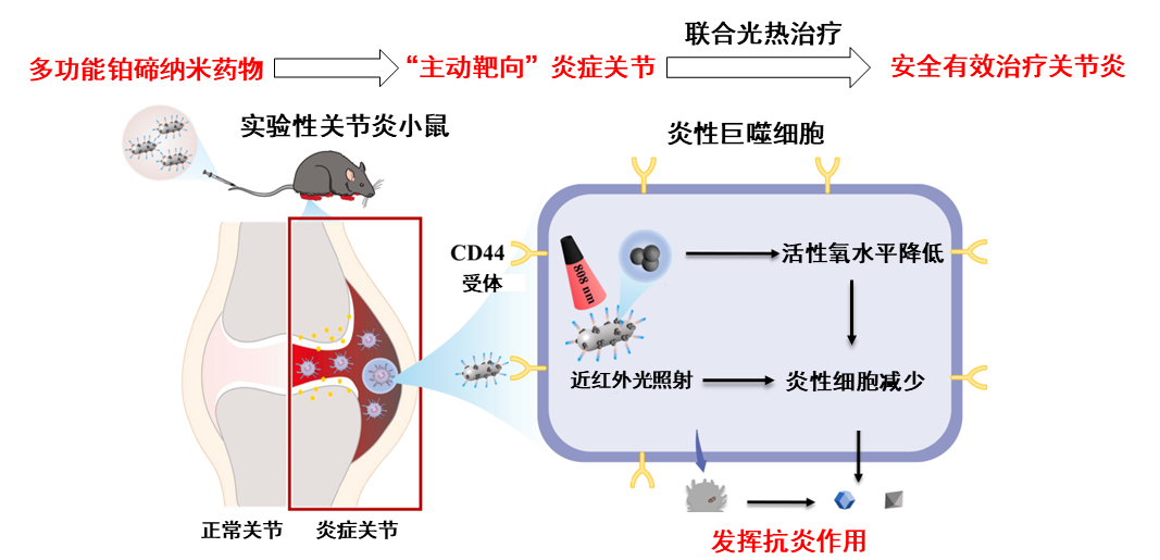 同济医院特效药,小分子靶向药治疗类风湿的特点