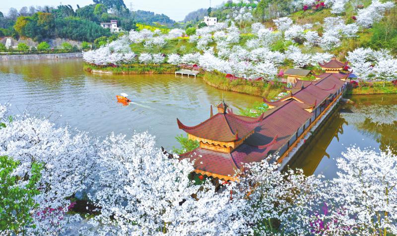 泸州发展蓝图,泸州拼搏未来