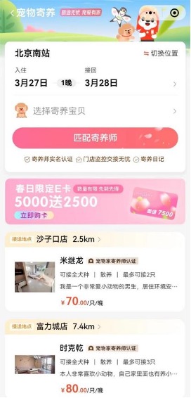 假日城市宠物寄养,宠物家庭寄养和宠物店寄养