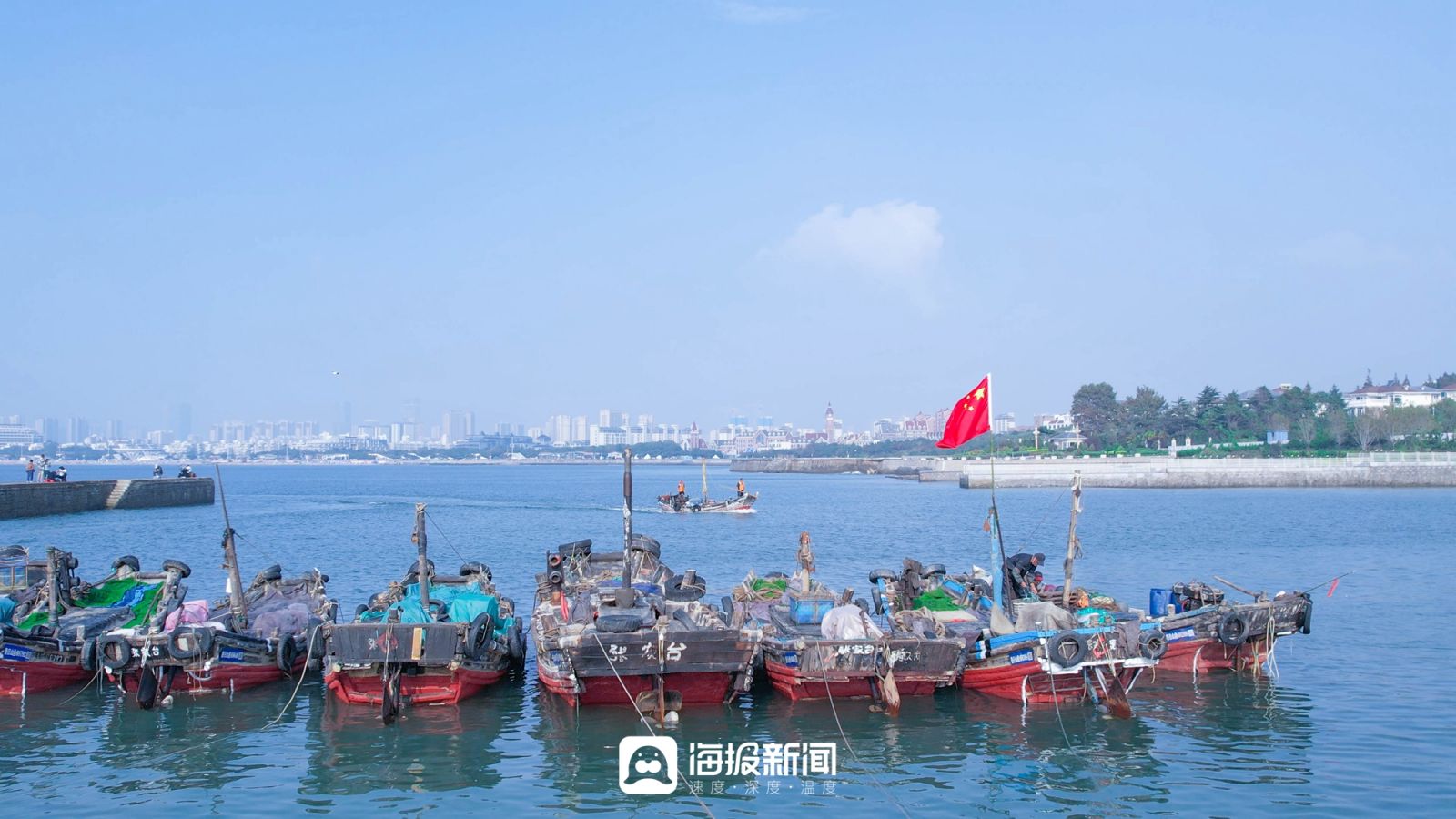 日照小海虾批发,日照小开海