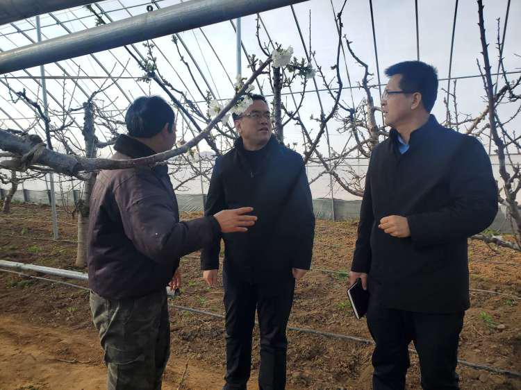 温泉故事情节视频,温泉故事大全