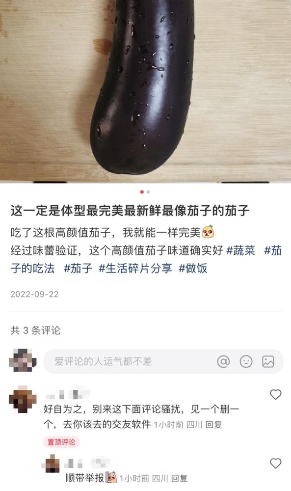 小红书旅游搭子被指,小红书谈涉旅游搭子传闻