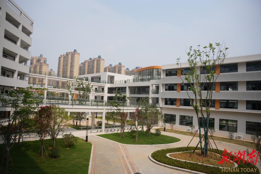 阳帆起航,阳帆启航开创未来