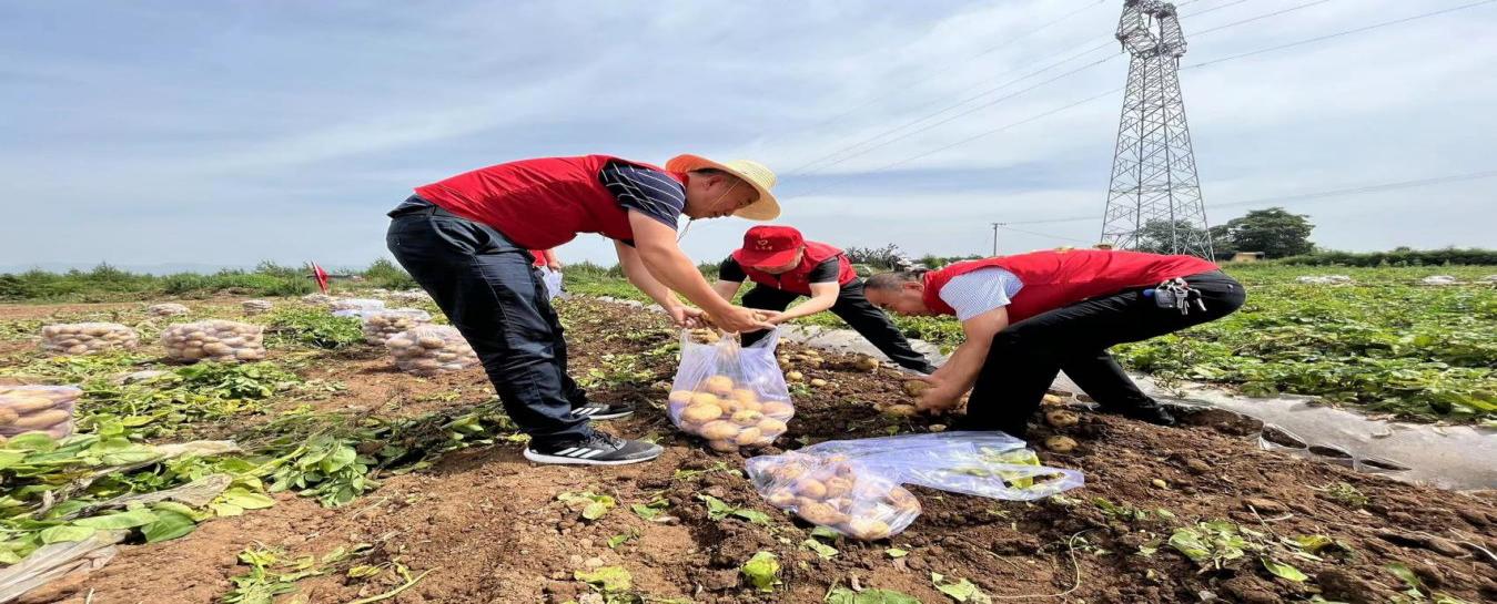 扶风县以党建引领学校发展,三抓三促推动党建走深走实
