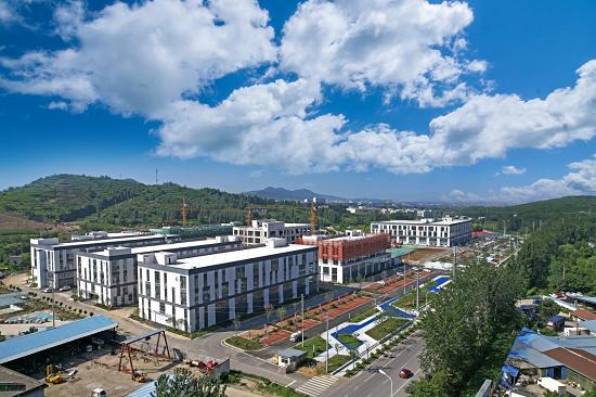 沂南农业振兴,沂南乡村振兴战略规划