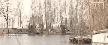 微视频雄安蝶变,微视频美丽白洋淀