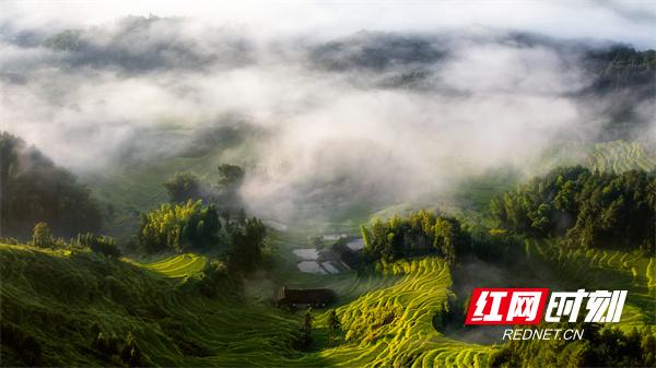 《我家在娄底》第二季丨第五集《沃野》：沃野写丰收精神铸丰碑