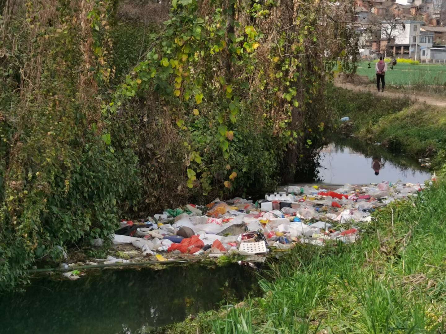 开屏帮你问专家｜如何应对微塑料这个“隐形的健康杀手”？