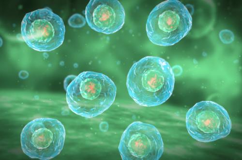 浅析：在医疗机构中医用织物洗涤消毒要如何加强管理工作？