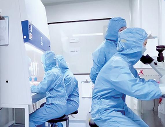 青岛：打造创新策源地，基因与细胞产业发力“未来”