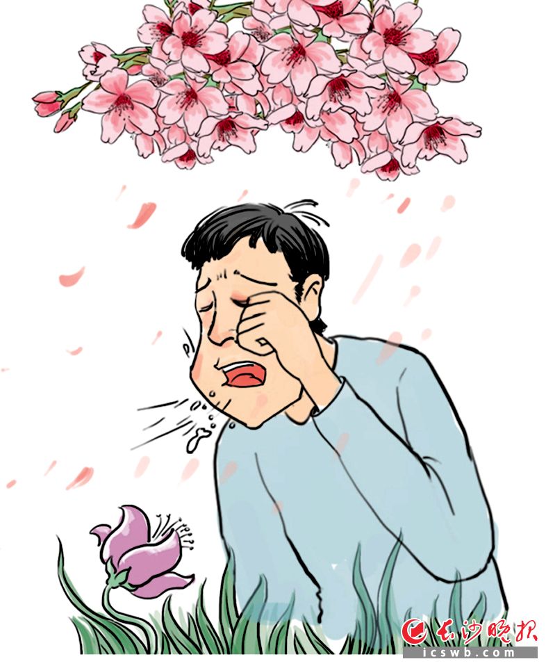 接触花粉后多久会过敏,花粉过敏需要接触花粉吗