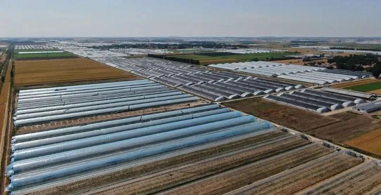 中国农业企业500强排行榜2020年,市级农业产业化龙头企业100强名单