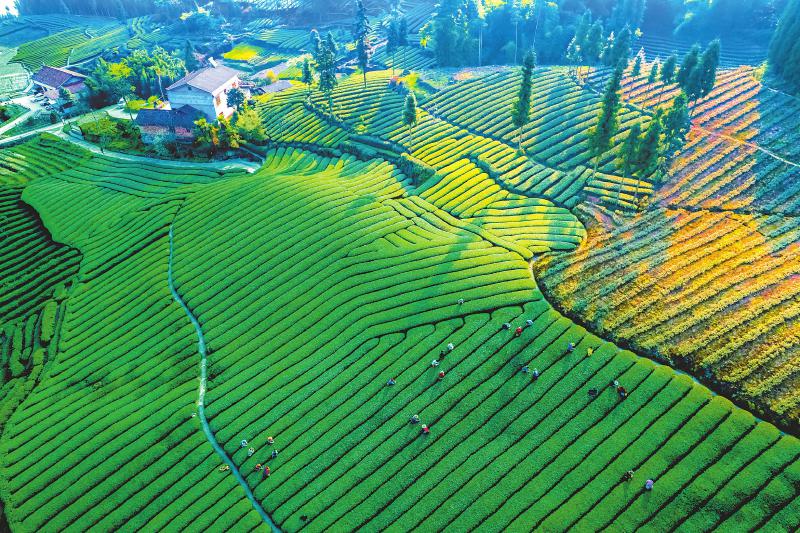 乐山转型发展,乐山繁荣